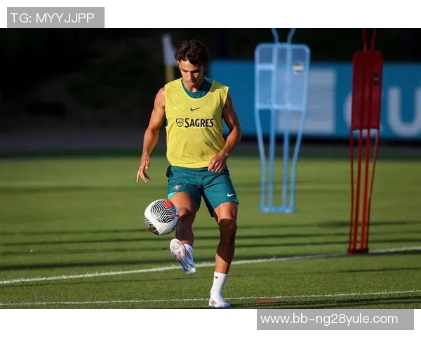 足球之脚：从力量到技巧解读球员足下风采与背后训练秘诀